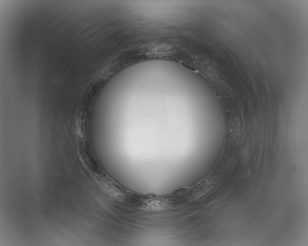 X0000073950755200609111650