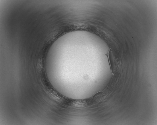 X0000073950756200609111650