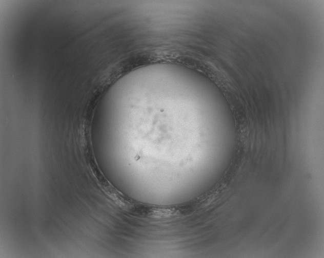 X0000073950757200609111650