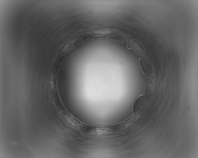 X0000073950758200609111650