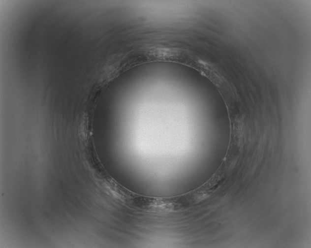 X0000073950760200609111650