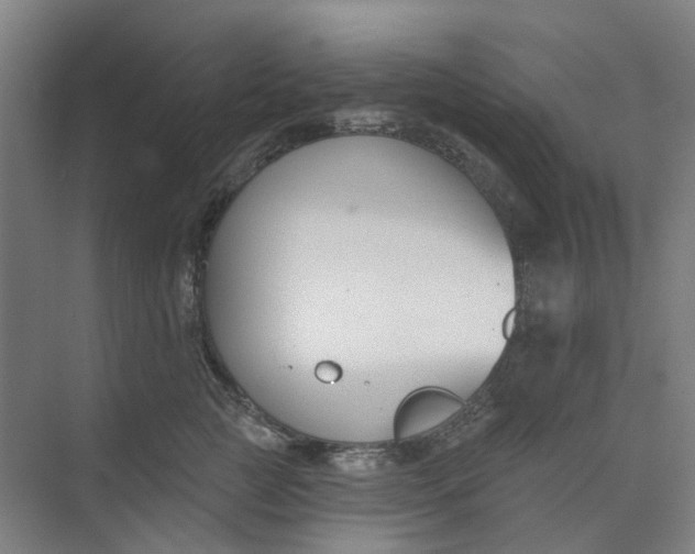 X0000073950761200609111650