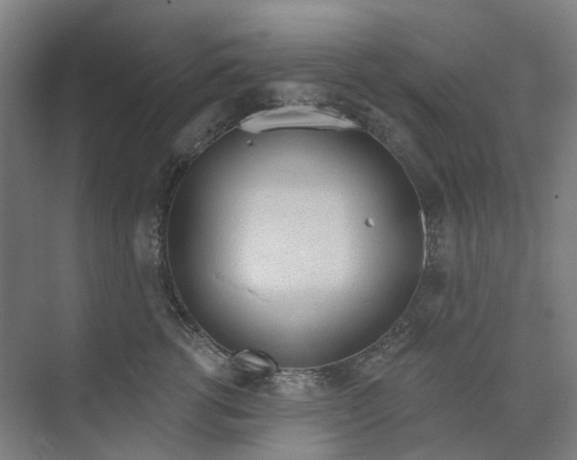 X0000073950762200609111650