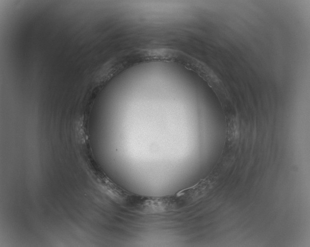 X0000073950764200609111650