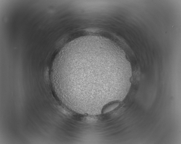 X0000073950765200609111650