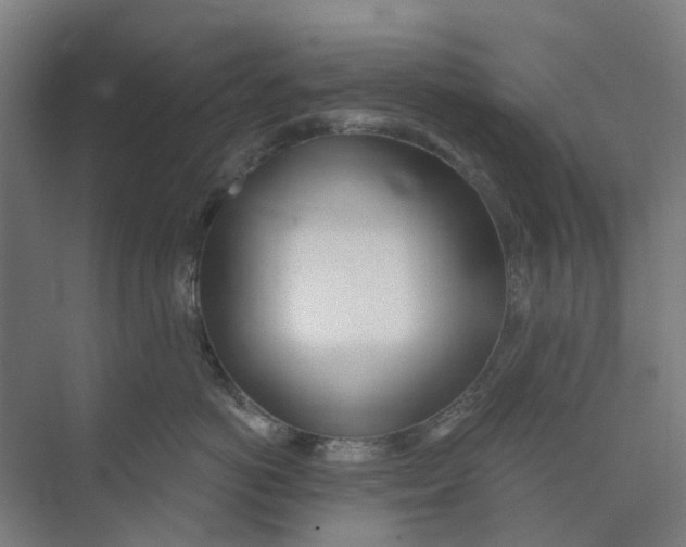 X0000073950766200609111650