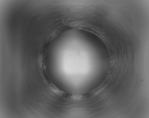 X0000073950767200609111650