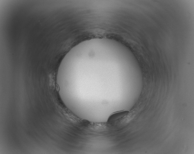 X0000073950768200609111650