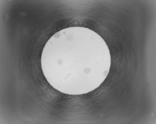 X0000073950769200609111649