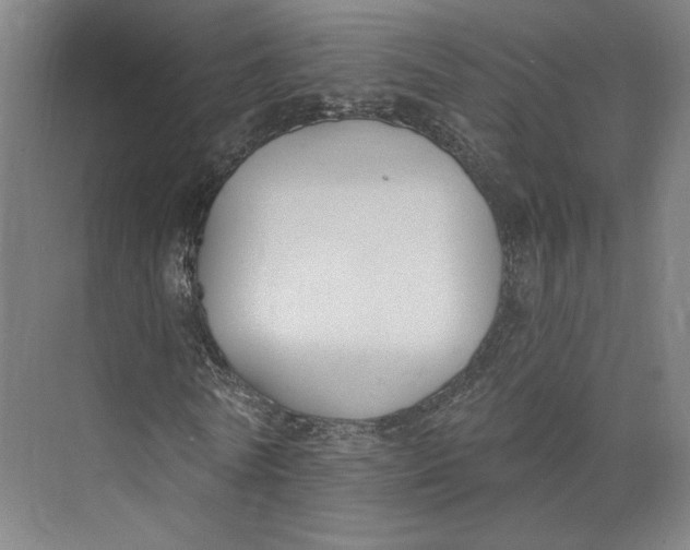 X0000073950770200609111649