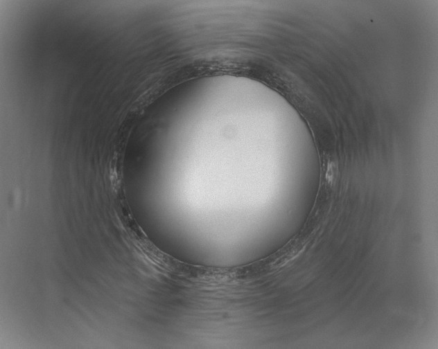 X0000073950771200609111649