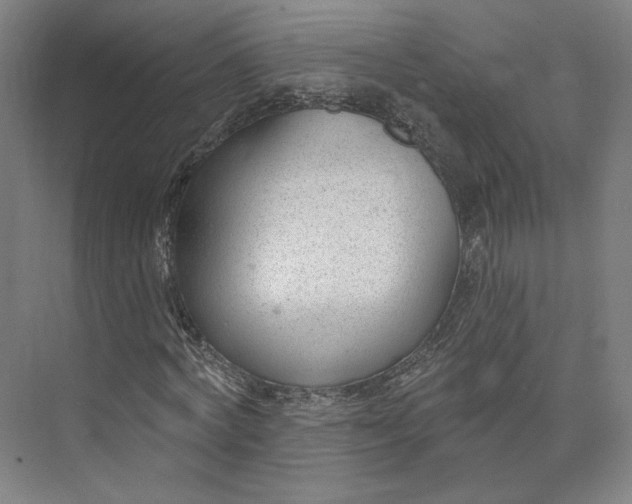 X0000073950772200609111649