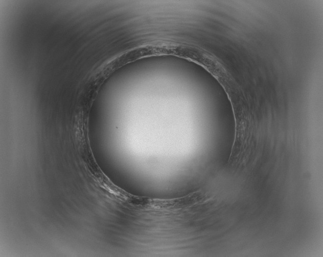 X0000073950773200609111649