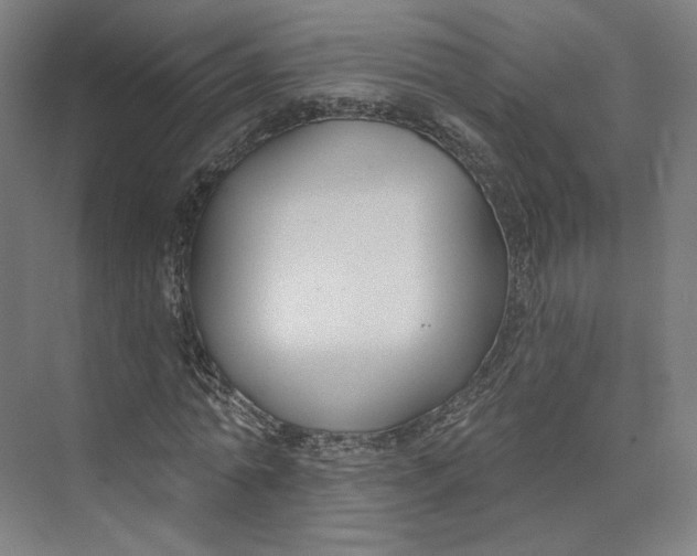 X0000073950774200609111649