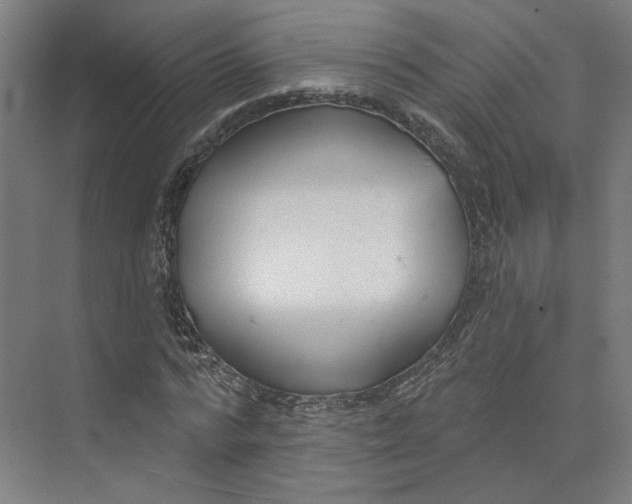 X0000073950776200609111649