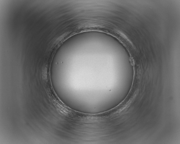 X0000073950777200609111649