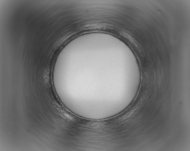 X0000073950778200609111649