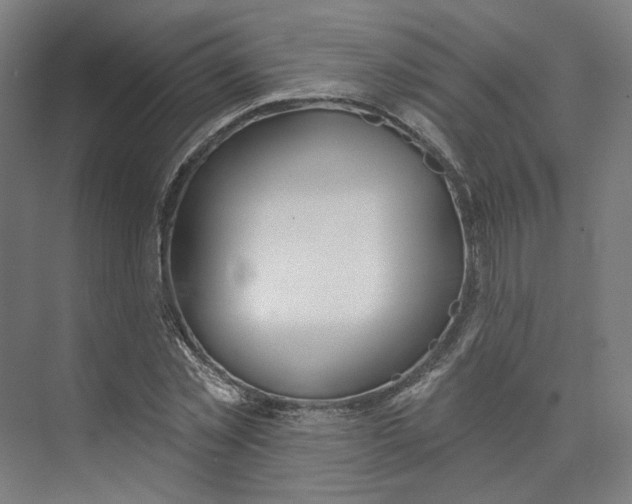 X0000073950781200609111649