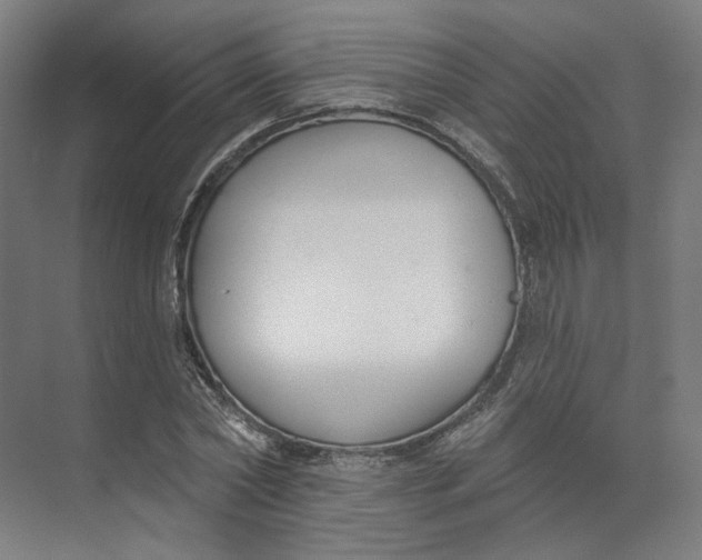 X0000073950782200609111649