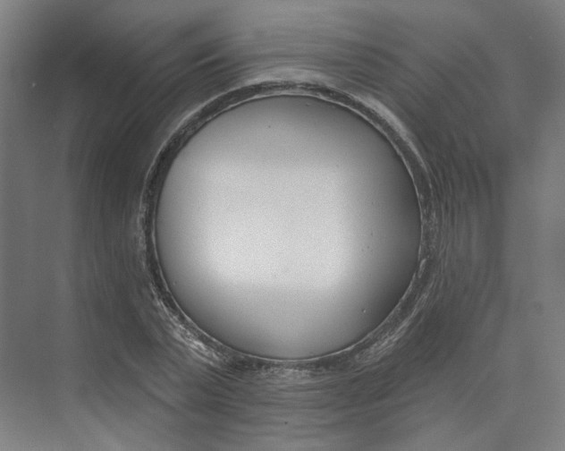 X0000073950783200609111649