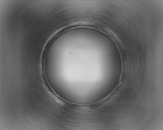 X0000073950784200609111649