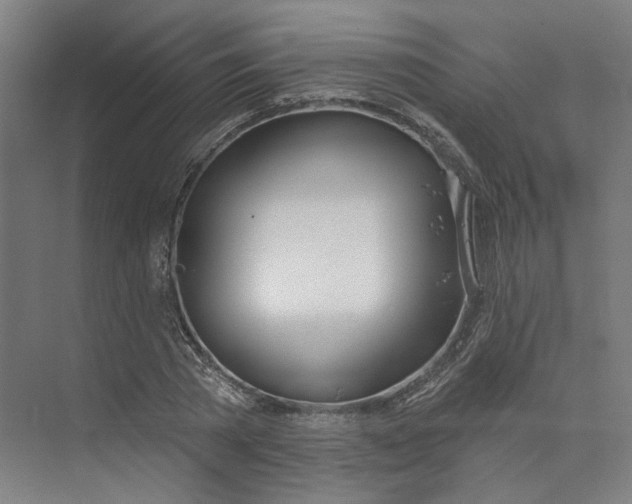 X0000073950785200609111649