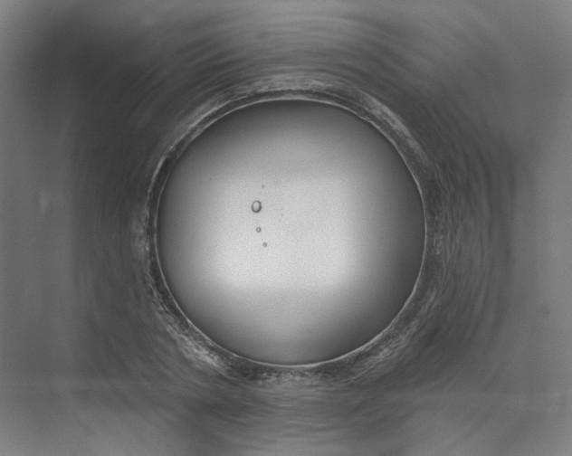 X0000073950786200609111649