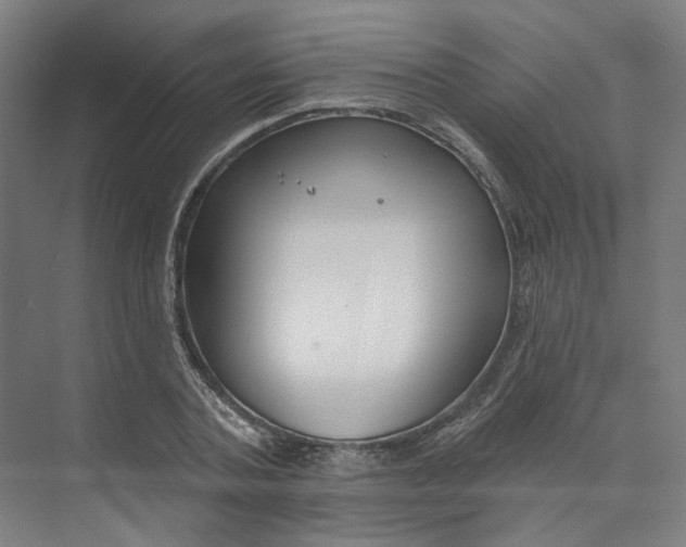 X0000073950787200609111649