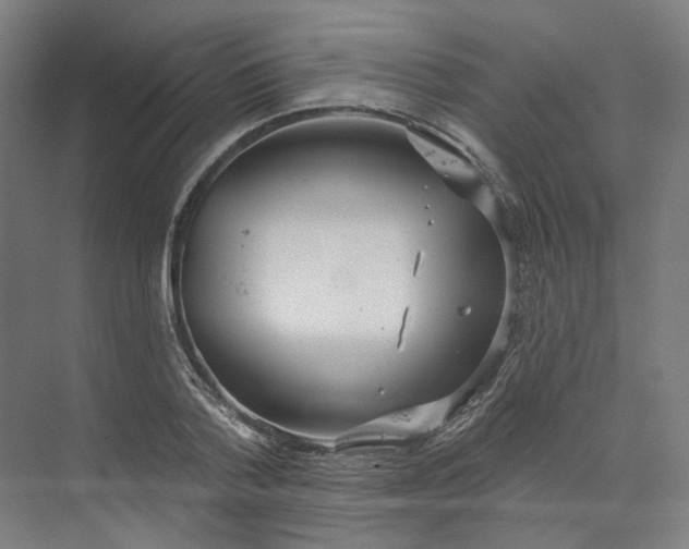 X0000073950788200609111649