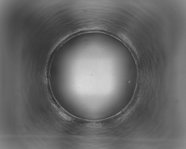 X0000073950789200609111649