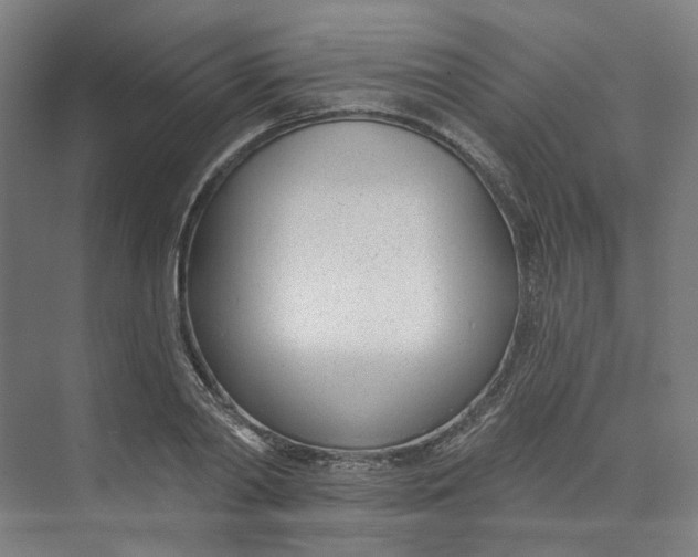 X0000073950790200609111649