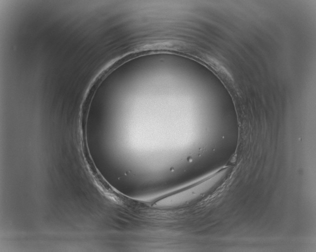 X0000073950792200609111649