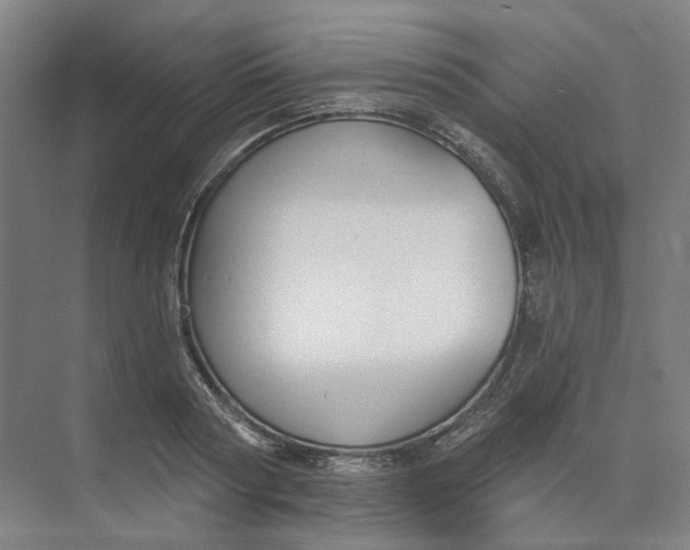 X0000073950794200609111649