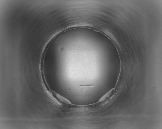 X0000073950797200609111649