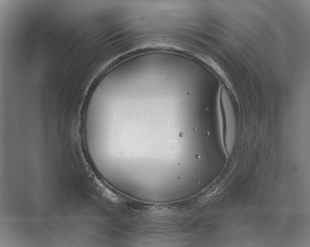 X0000073950799200609111649