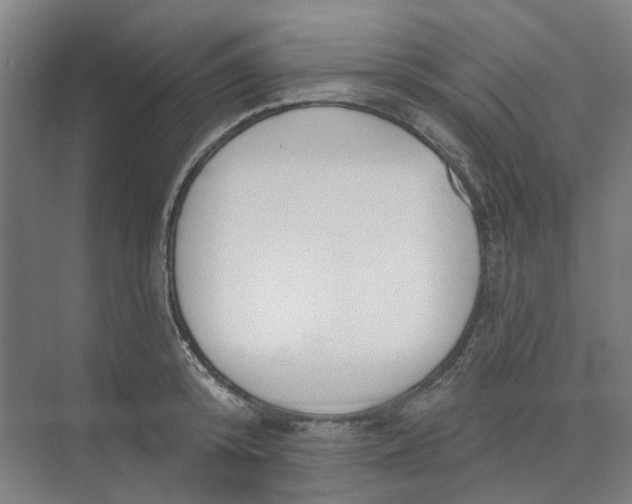 X0000073950800200609111649