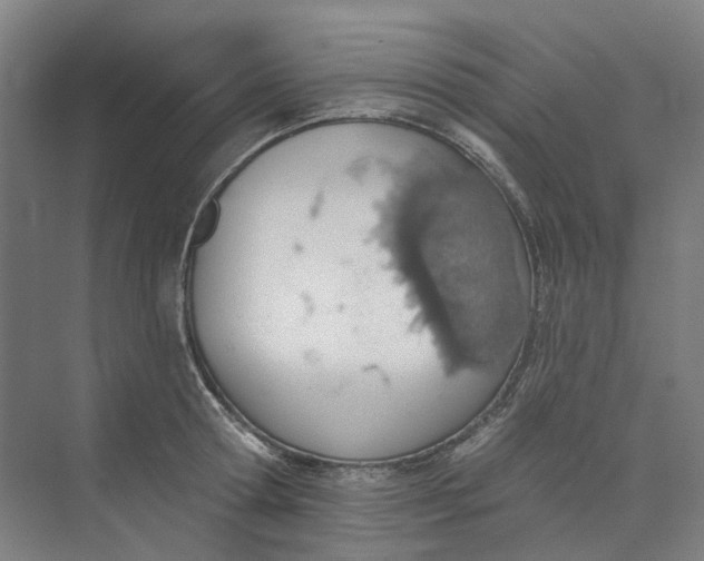 X0000073950802200609111649