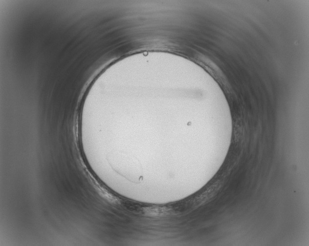 X0000073950804200609111649