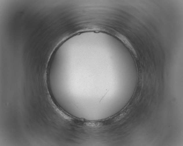 X0000073950805200609111649