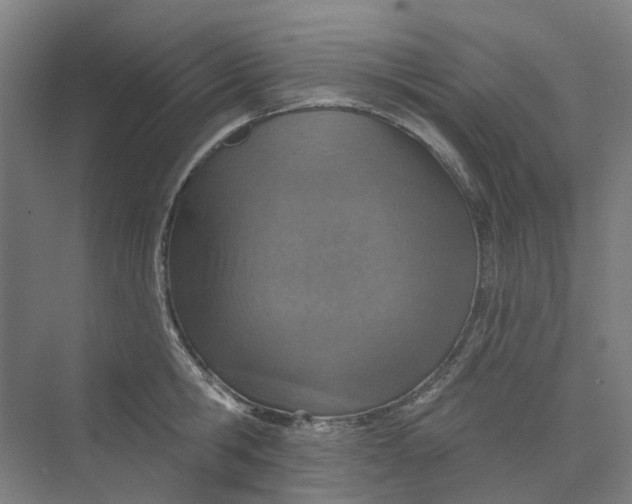 X0000073950806200609111649