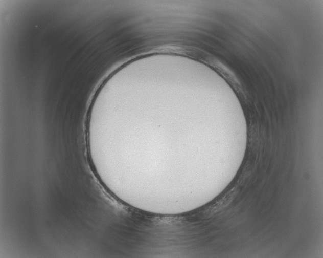 X0000073950808200609111648