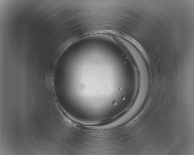 X0000073950809200609111648