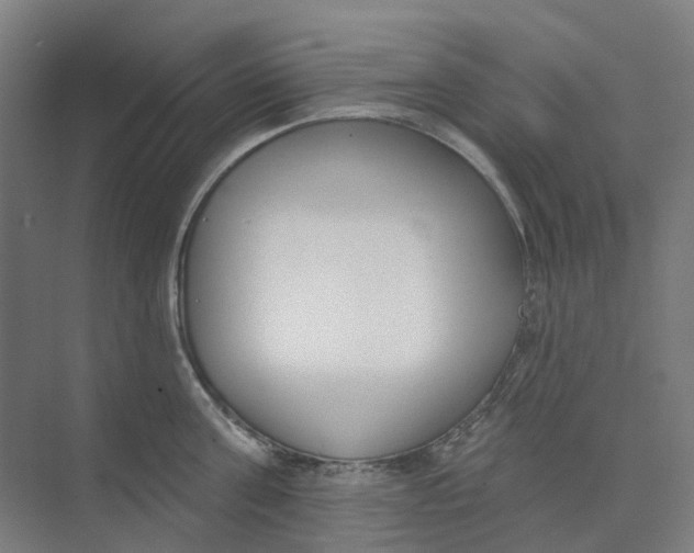 X0000073950811200609111648