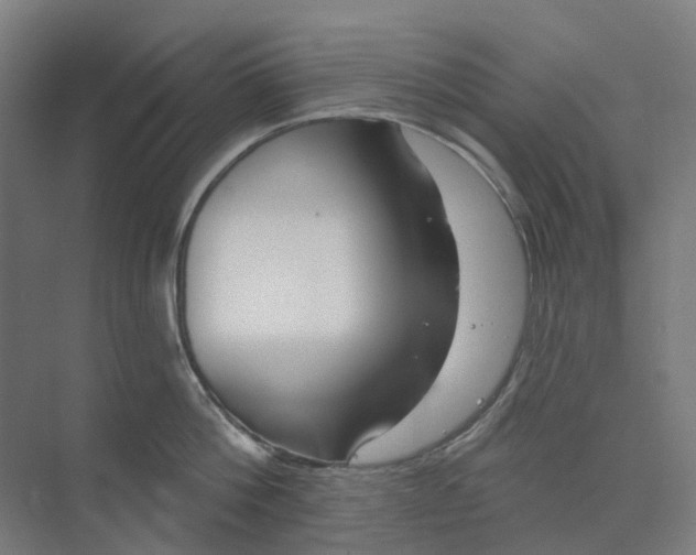 X0000073950812200609111648