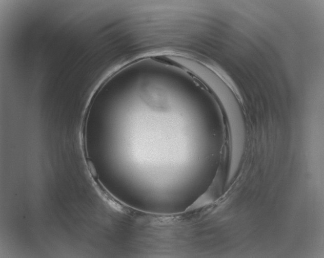 X0000073950813200609111648