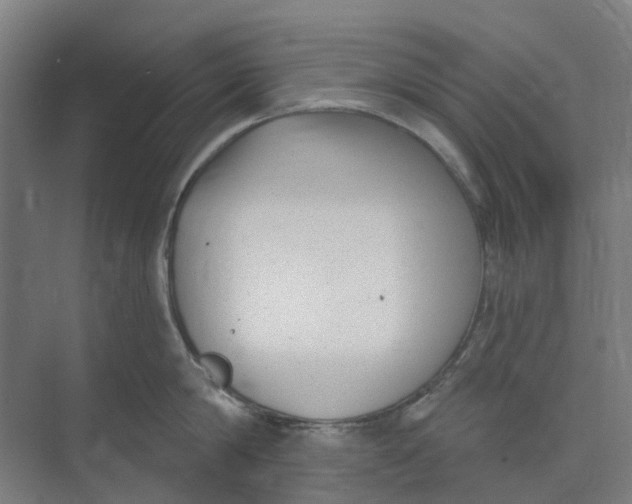 X0000073950814200609111648