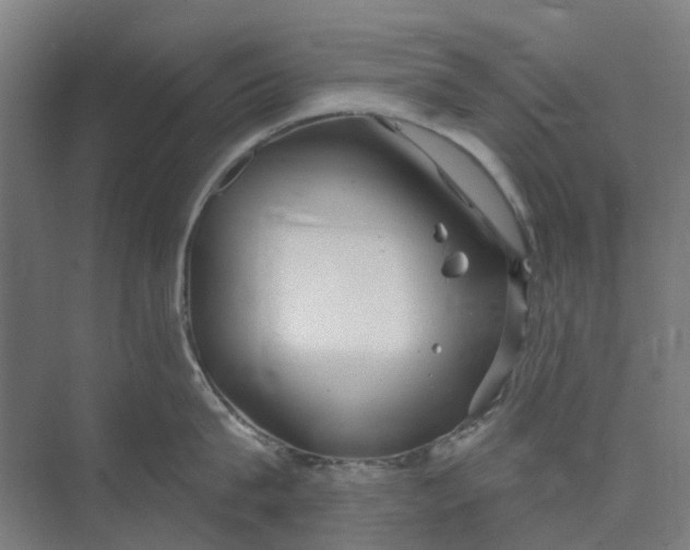 X0000073950815200609111648