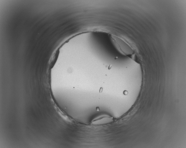 X0000073950816200609111648