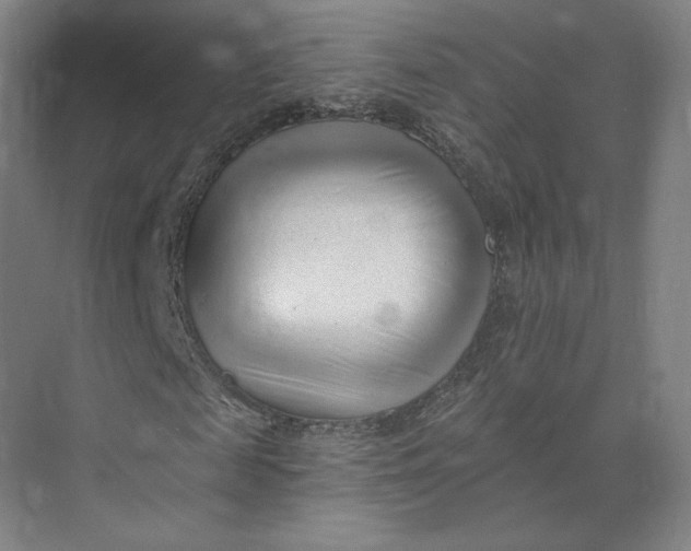 X0000073950817200609111648