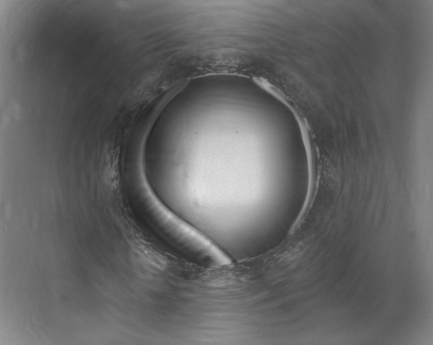 X0000073950818200609111648